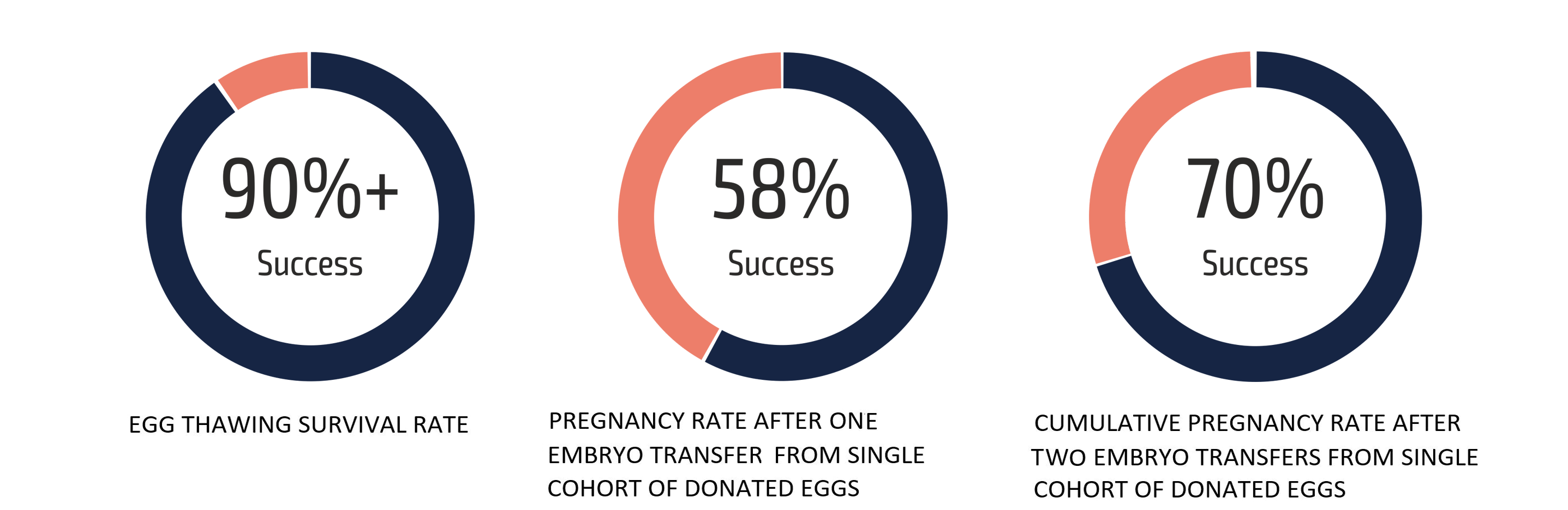 Graph success rates of IVF with donor eggs 