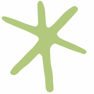 Egg recipient initial consultation